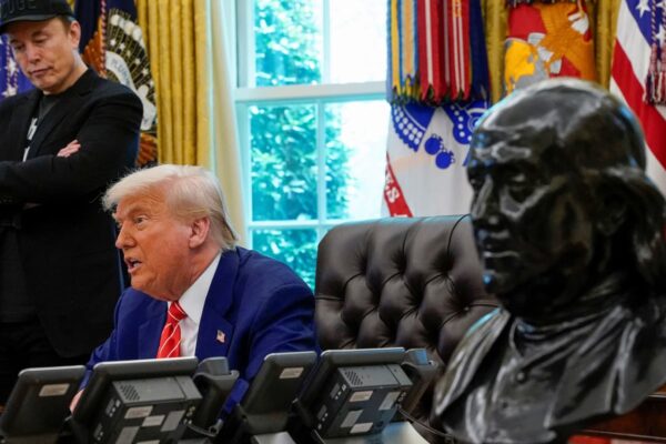 Elon Musk, founder of companies and political parties Elon Musk, founder of companies and political parties