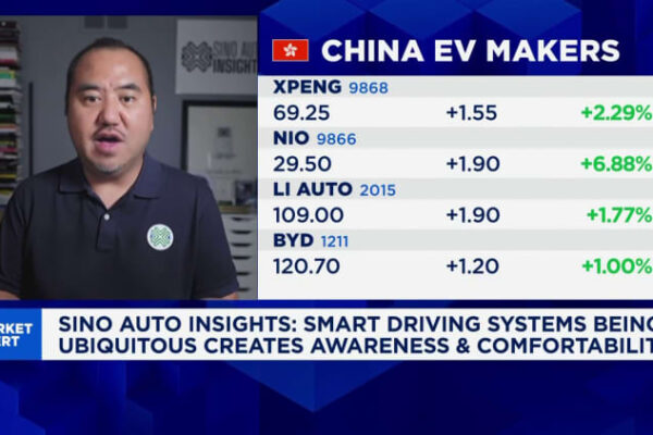 Tesla plans ‘friends and family’ service in California, regulator says