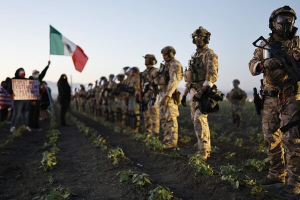 Cannabis farm worker in California dies day after chaotic federal immigration raid