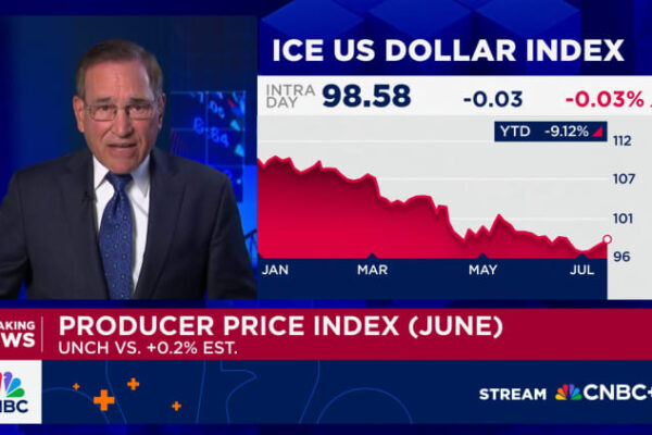 PPI inflation report June 2025