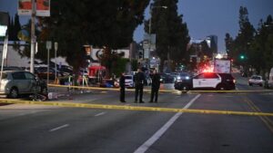 At least 30 hurt after car hits crowd outside Los Angeles club, fire department says