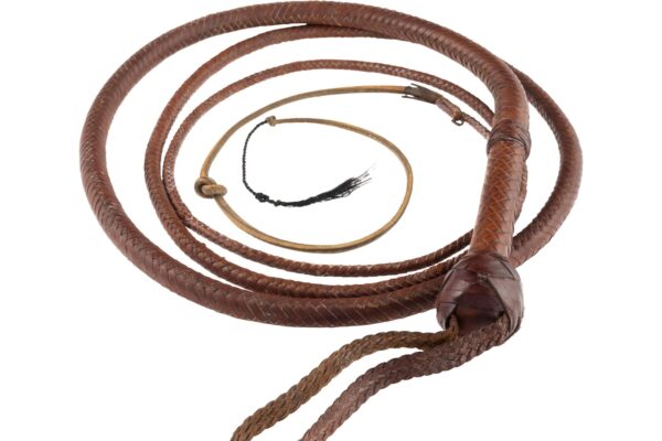 Indiana Jones whip snaps up 5,000 at auction after ‘Citizen Kane’ sled goes for .75 million Indiana Jones whip snaps up 5,000 at auction after ‘Citizen Kane’ sled goes for .75 million