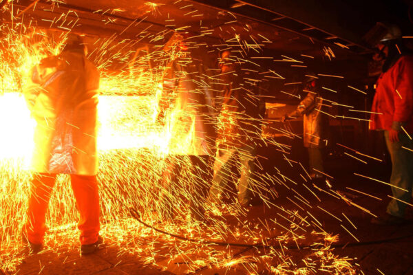 Sectors investors are betting on and avoiding