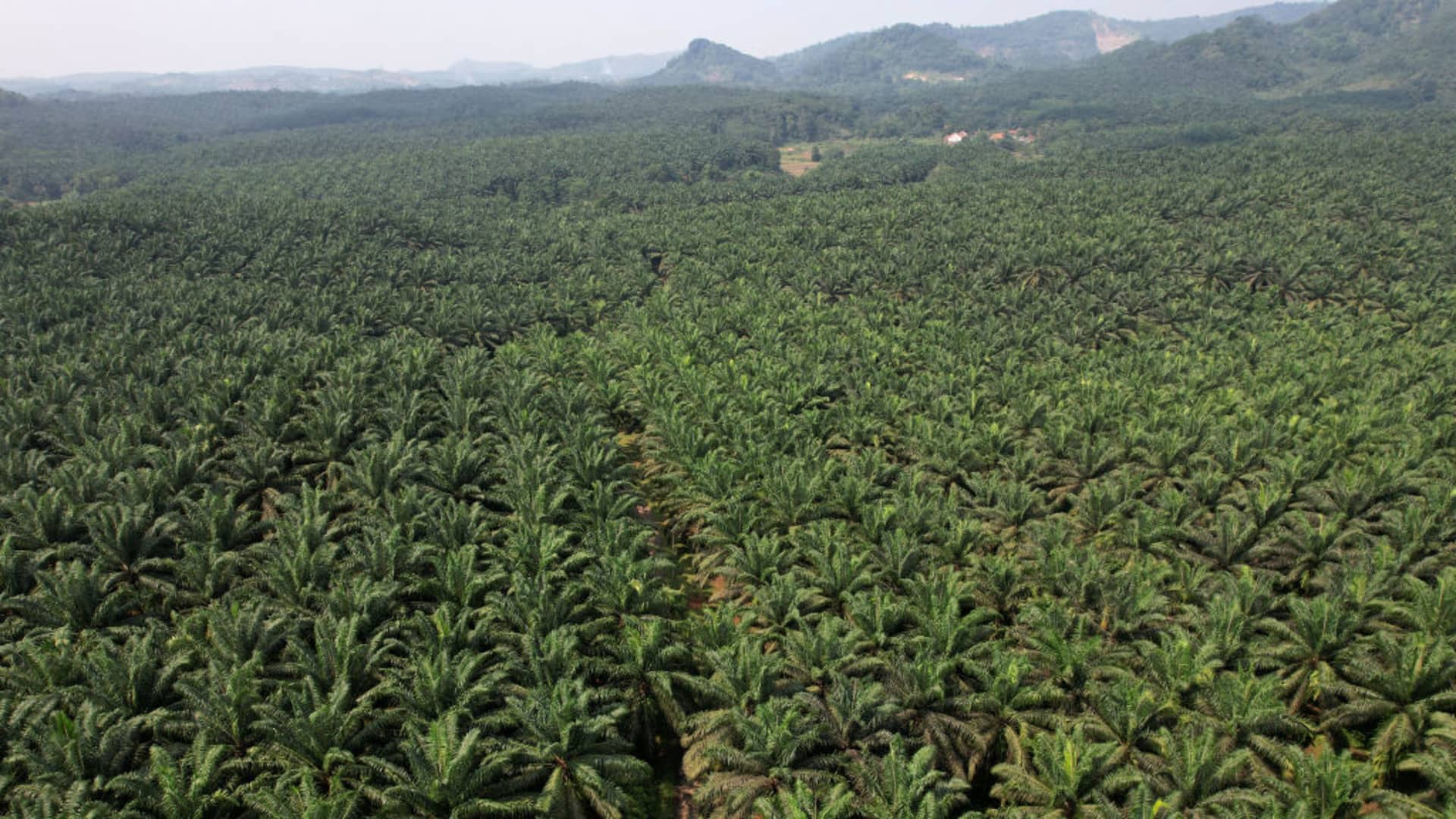 Indonesia urges EU to remove biodiesel import curbs after WTO ruling