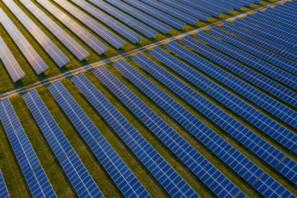 Trump says U.S. will not approve solar or wind power projects