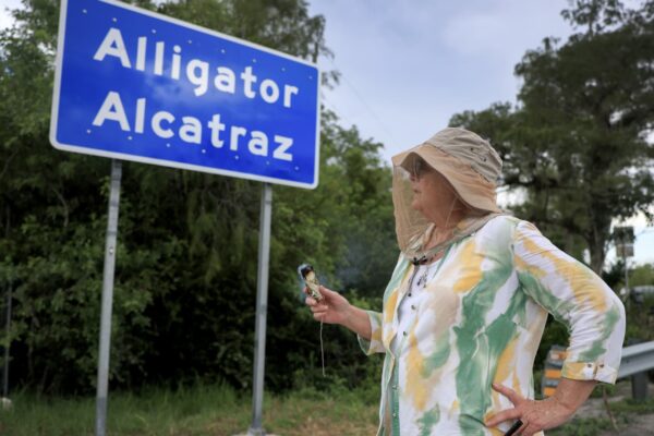 Judge orders temporary halt to construction at Florida’s ‘Alligator Alcatraz’ detention center