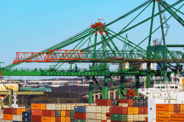 Trump tariffs offer ‘opportunities’ for investors: market strategist