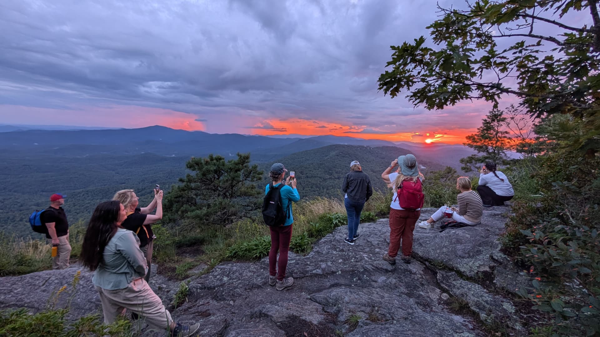 The Japanese art of ‘forest bathing’ can improve focus, lower stress