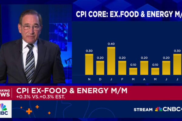Here’s the inflation breakdown for July 2025 — in one chart