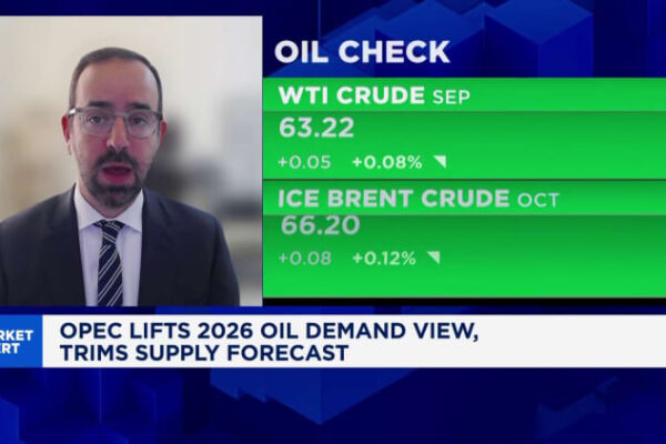 Saudi Arabia PIF fund sees  billion writedown in megaprojects
