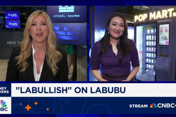 China’s ‘blind box’ craze fuels Pop Mart’s Labubu success