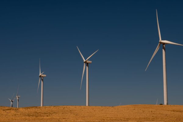 Trump administration cancels 9 million for offshore wind projects