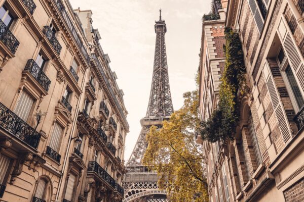 Stoxx 600, CAC, France confidence vote