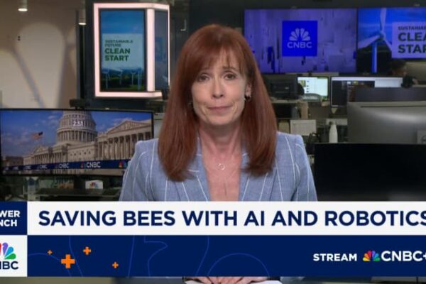 How robotic beehives use AI to protect bees from climate change
