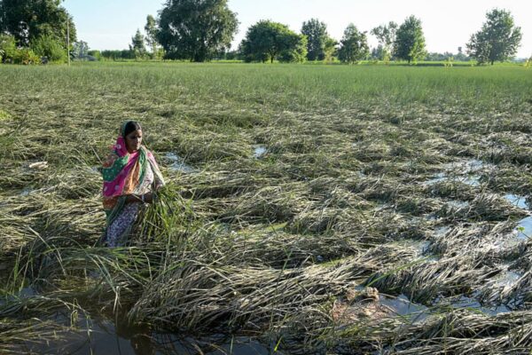 Floods, heavy rains unlikely to push India’s inflation higher