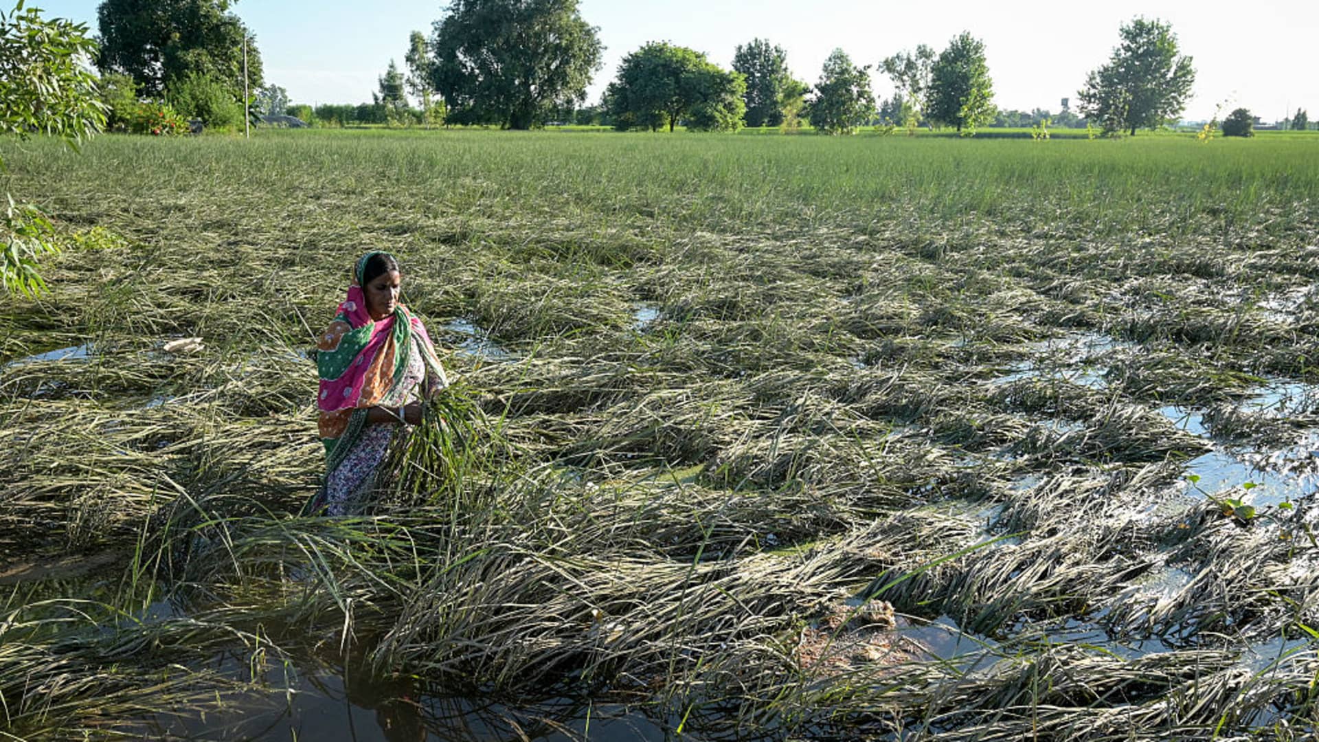 Floods, heavy rains unlikely to push India’s inflation higher