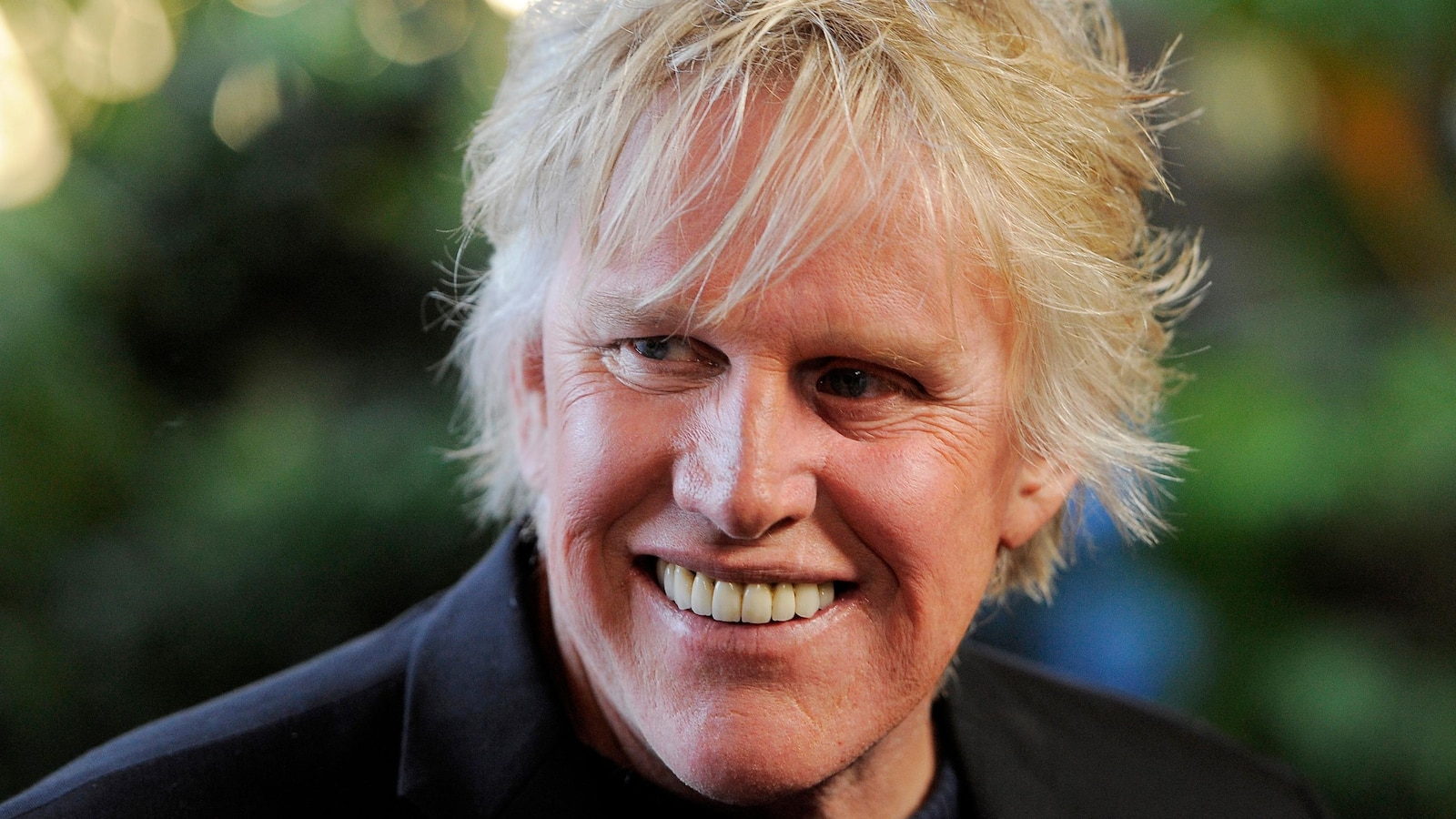 Gary Busey gets probation for sexual offense at 2022 horror convention
