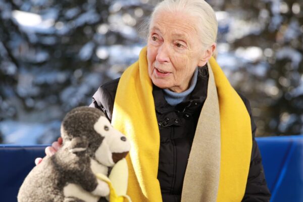Jane Goodall has died at 91 Jane Goodall has died at 91