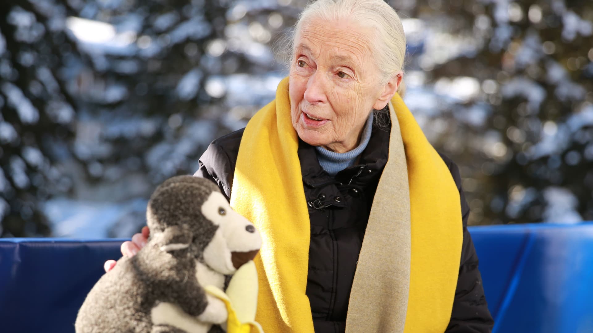 Jane Goodall has died at 91