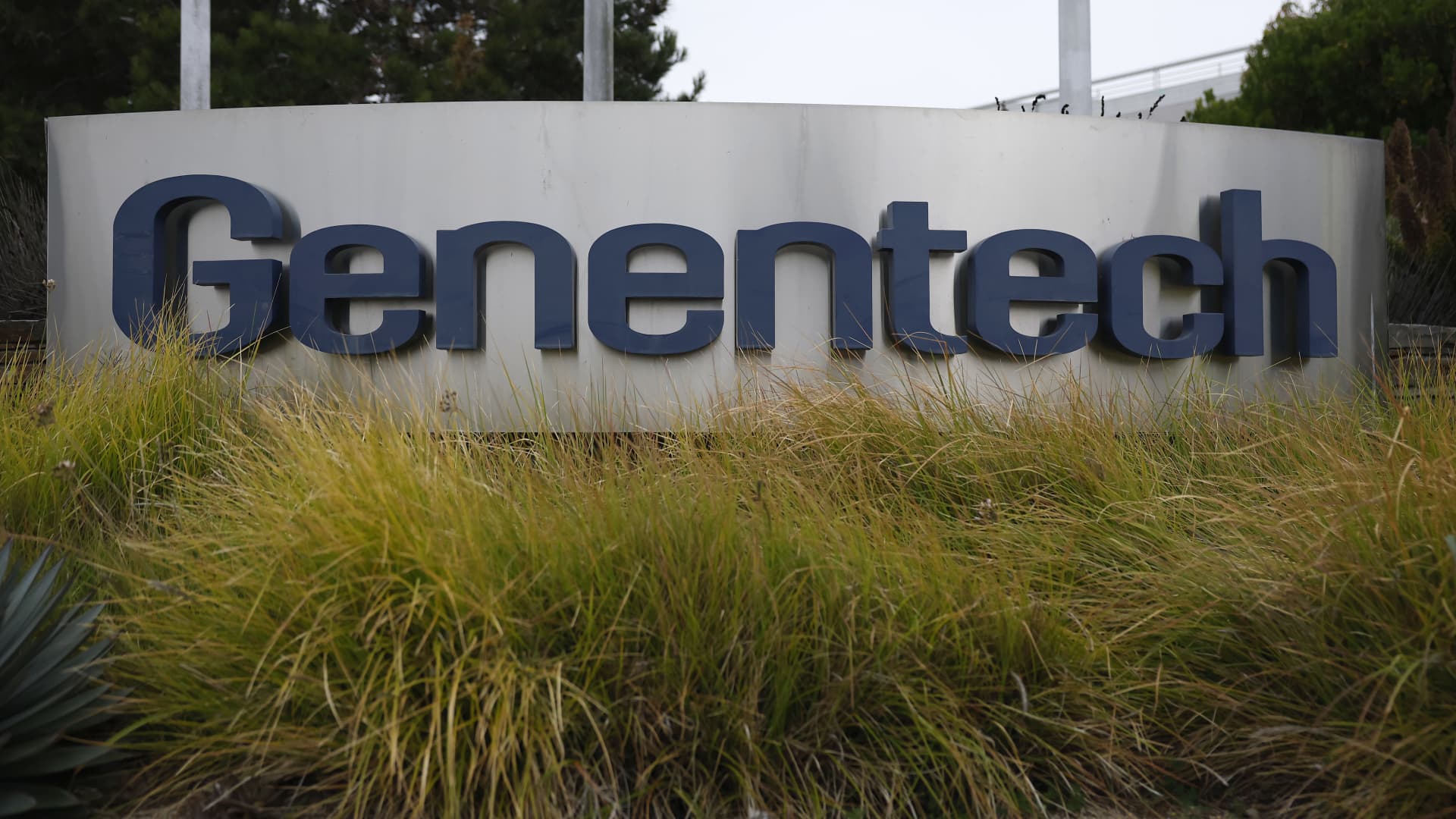 Genentech launches direct to consumer program for flu pill Xofluza Genentech launches direct to consumer program for flu pill Xofluza