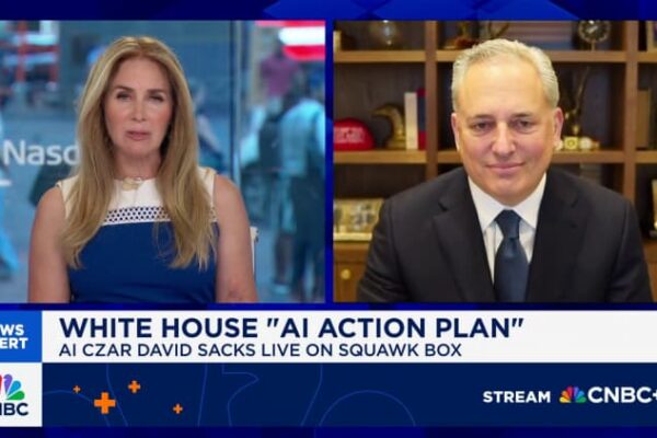 ‘No federal bailout for AI’