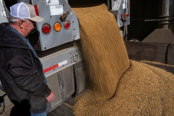 Trump threatens China with cooking oil embargo over soybean snub