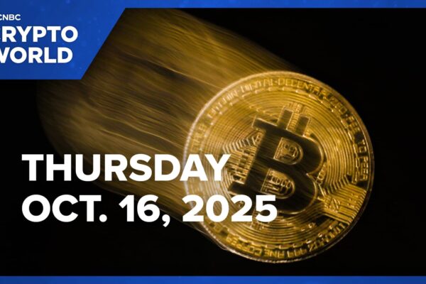 Bitcoin drops to 8,000 level as selling pressure continues: CNBC Crypto World Bitcoin drops to 8,000 level as selling pressure continues: CNBC Crypto World