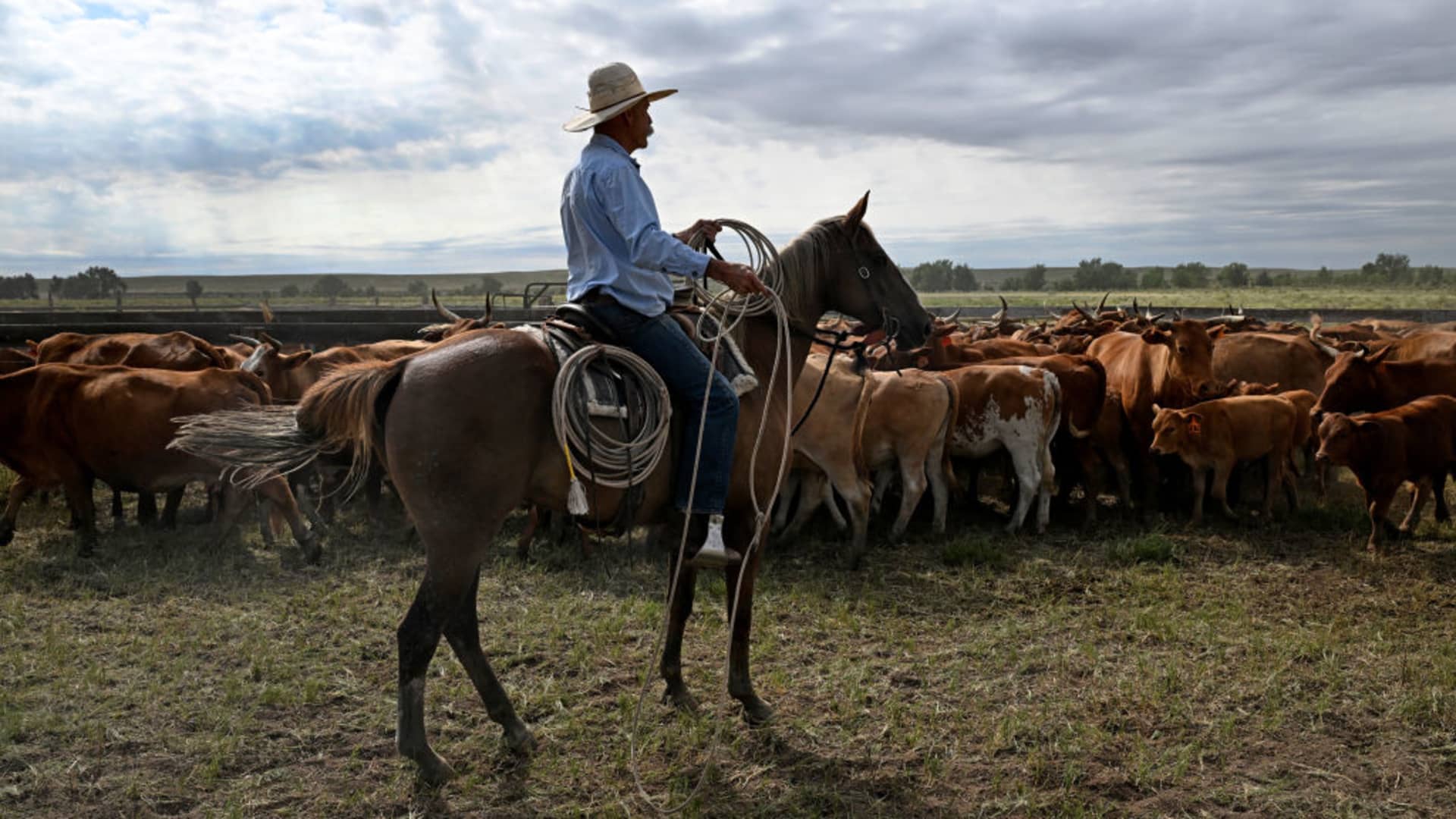Ranchers don’t understand tariffs amid Argentine beef row Ranchers don’t understand tariffs amid Argentine beef row