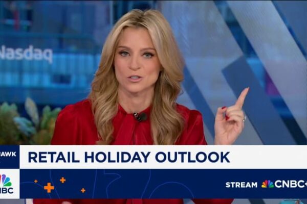 What executives expect for the holiday season