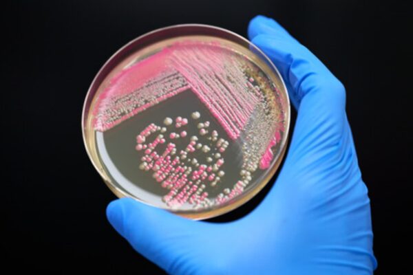 Debut Biotech partners with Image Skincare for personalized beauty