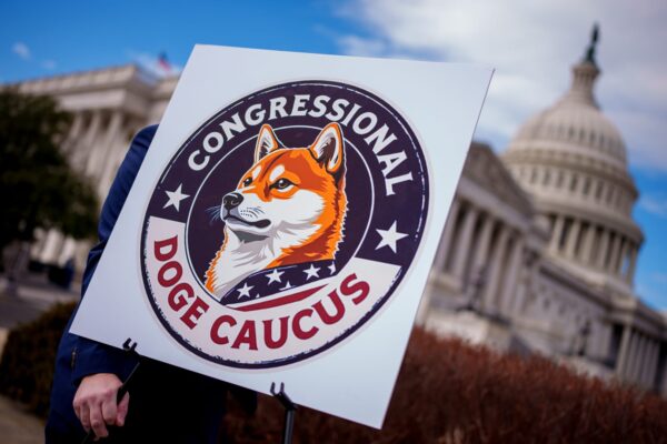 DOGE ‘doesn’t exist’ with eight months left on its charter