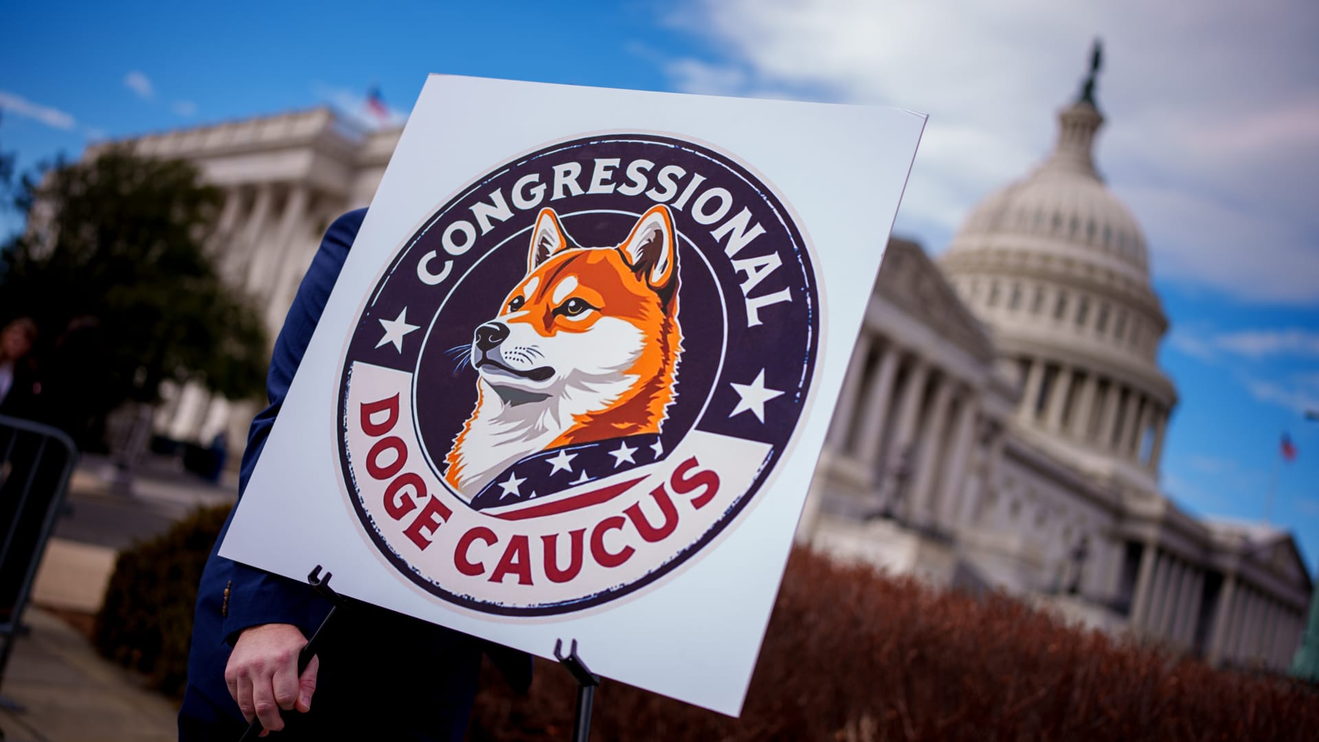 DOGE ‘doesn’t exist’ with eight months left on its charter