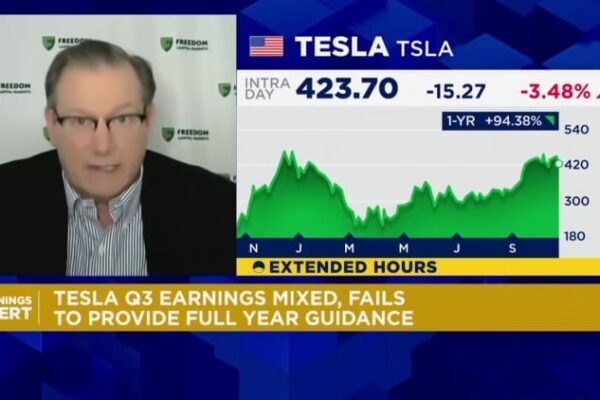 Tesla fans told by Dutch safety agency end pressure ‘FSD’ supervised