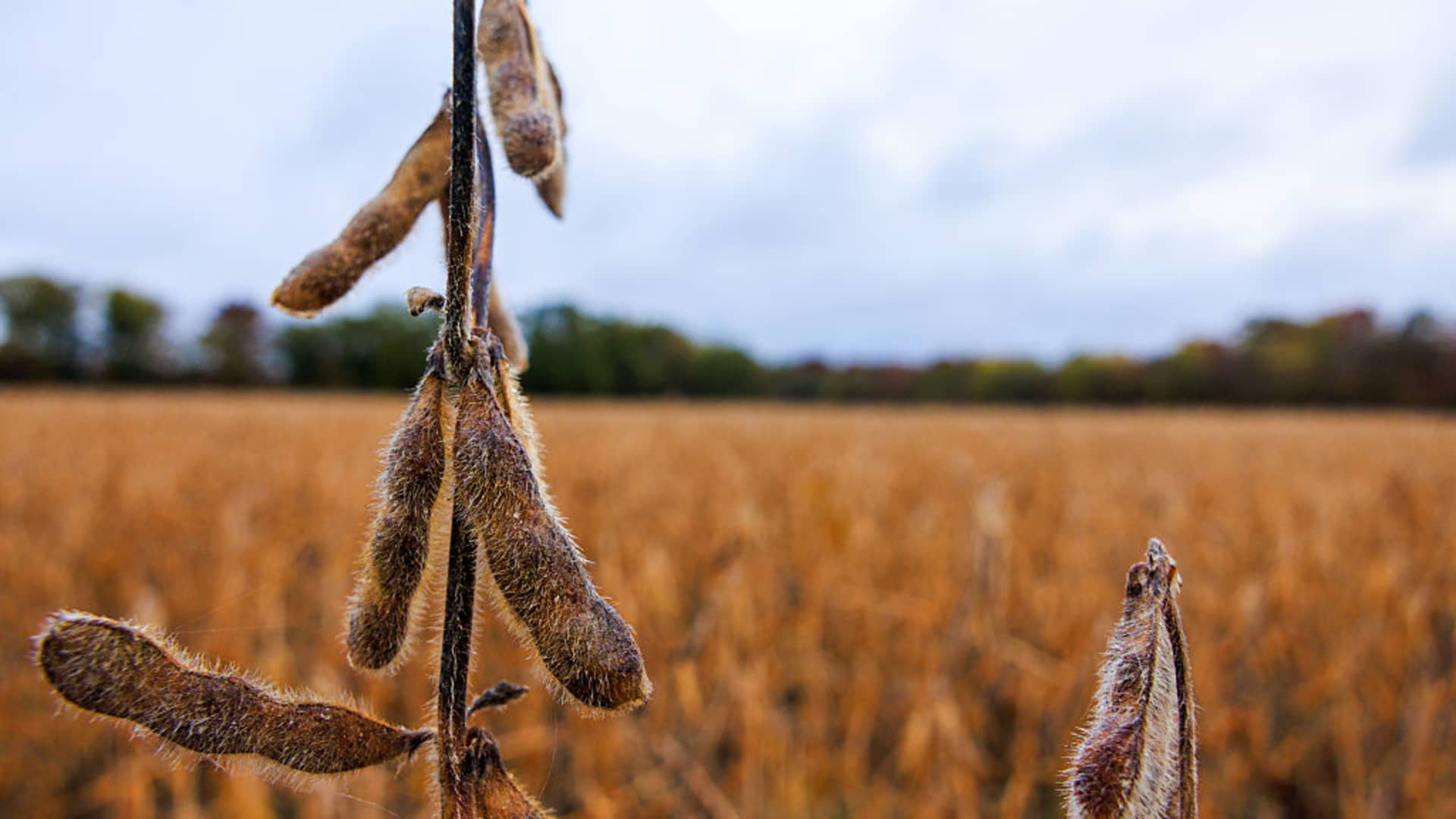 Tariffs steal spotlight as AI frenzy seems to fade