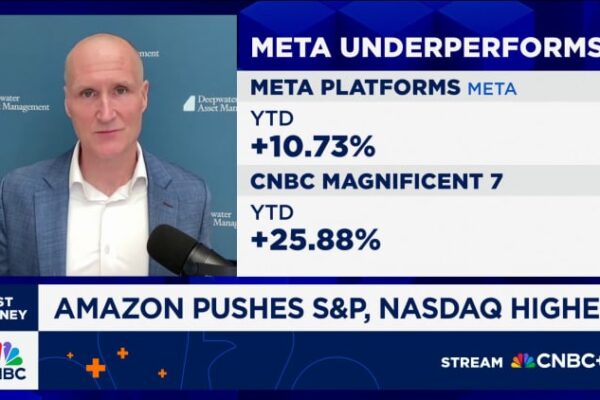 Microsoft AI chief says only biological beings can be conscious