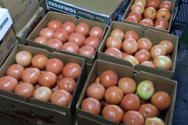 The laws of politics can be changed, but not economics