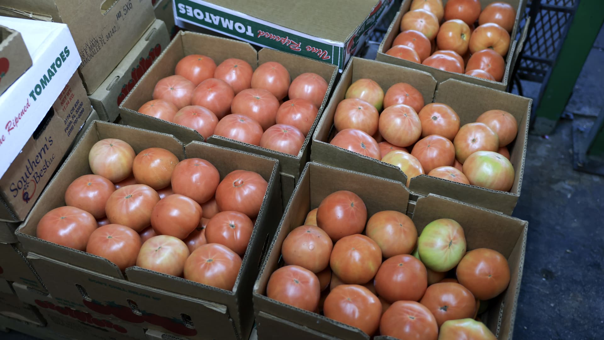 The laws of politics can be changed, but not economics