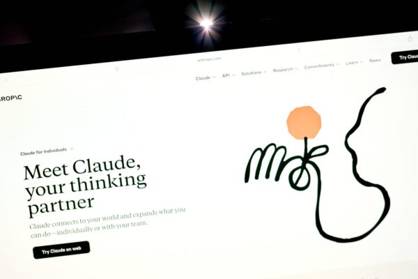 The flow of money in AI appears one-way at this point