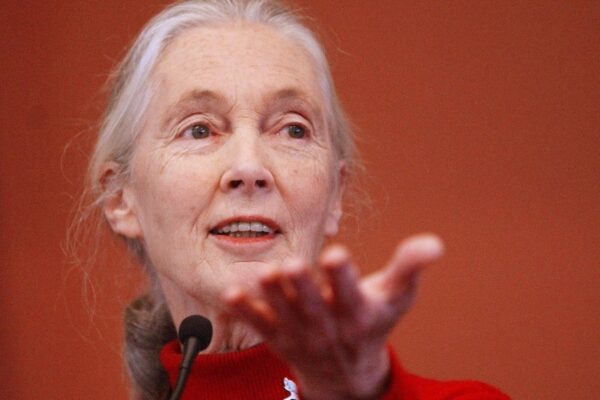 Noteworthy and influential people who’ve died this year