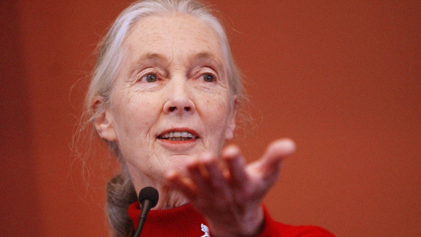 Noteworthy and influential people who’ve died this year