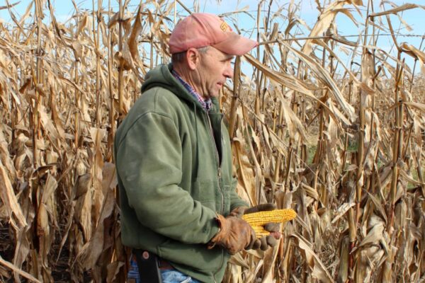 Trump announces  billion aid package for farmers hurt by trade war