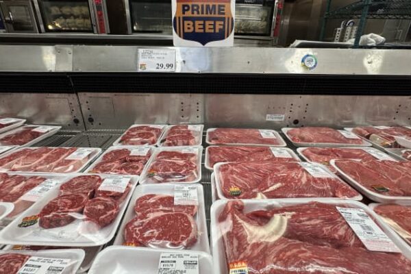 FDA approves Merck drug for decimated cattle herds to stop screwworm