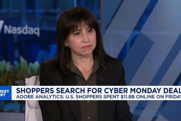 Shopping platform goes down during Cyber Monday