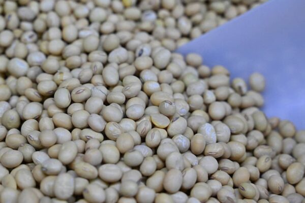 U.S.-China soybeans reveals food security goals. Goldman Sachs plays