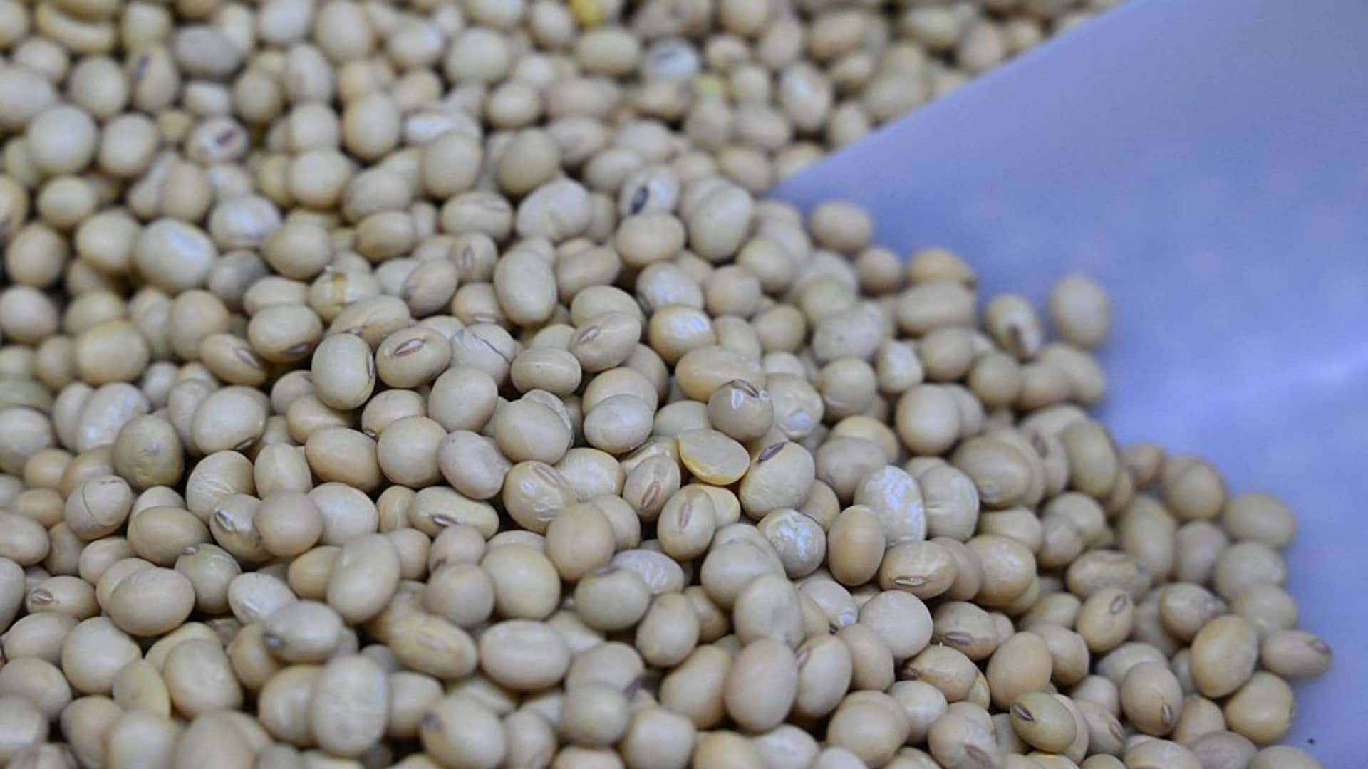U.S.-China soybeans reveals food security goals. Goldman Sachs plays