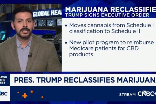 How donors, access and polls led Trump to reclassify marijuana