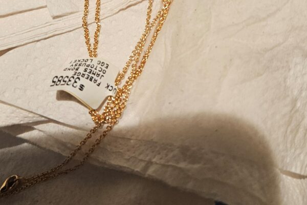 Police recover a stolen and swallowed Fabergé pendant after a 6-day wait for it to reappear