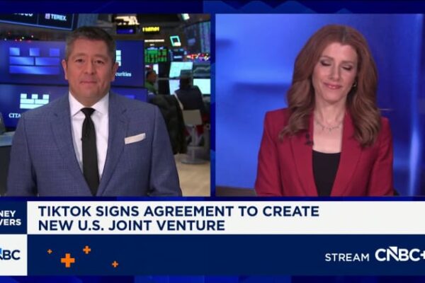 TikTok forms U.S. joint venture, names a CEO