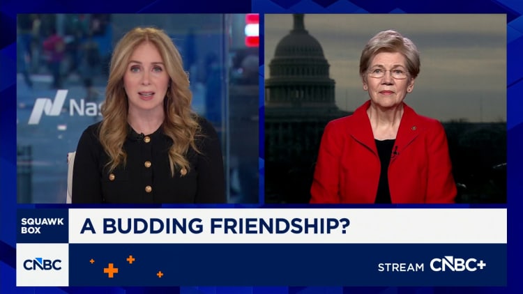 Warren blasts CFPB director Vought for undermining Trump credit card affordability