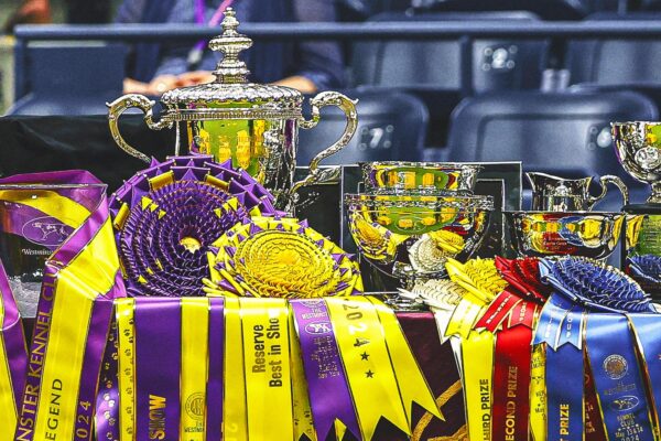 What Makes a Winner? A Westminster Kennel Club Dog Show Judge Explains